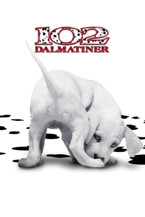 102 Dalmatiner