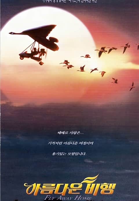 아름다운 비행