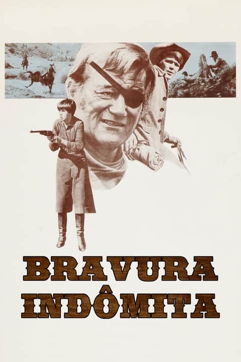 A Velha Raposa