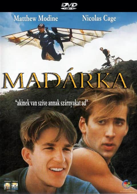 Madárka