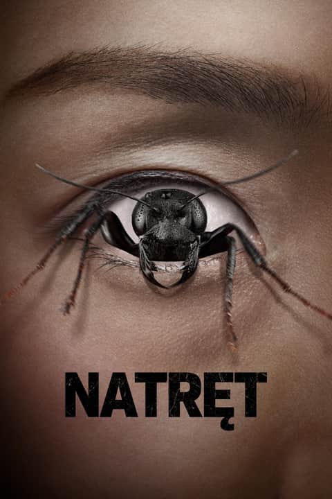 Natręt