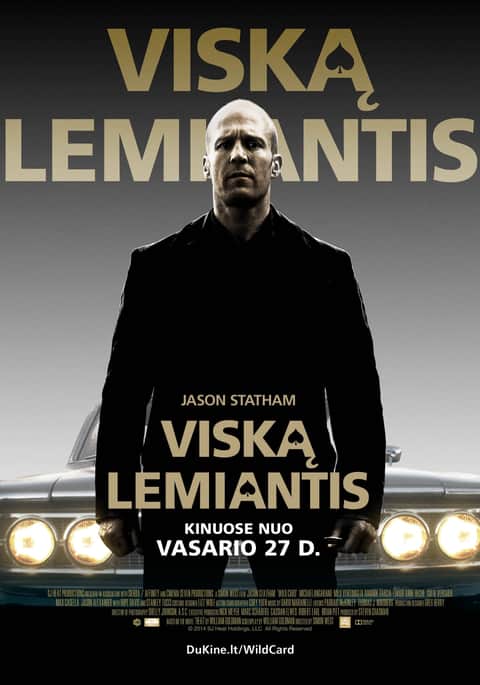 Viską lemiantis