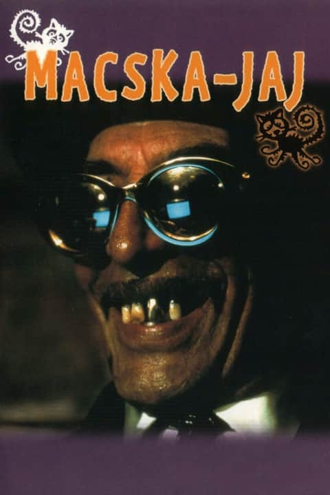 Macska-jaj