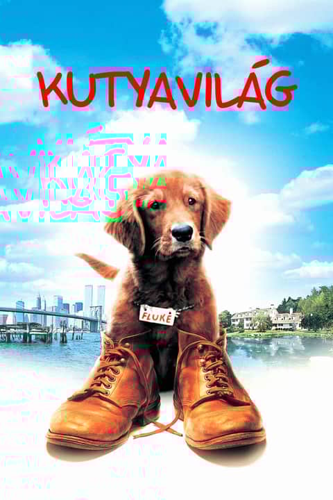 Kutyavilág