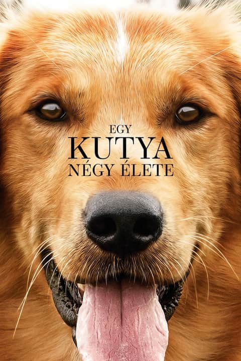 Egy ​kutya négy élete