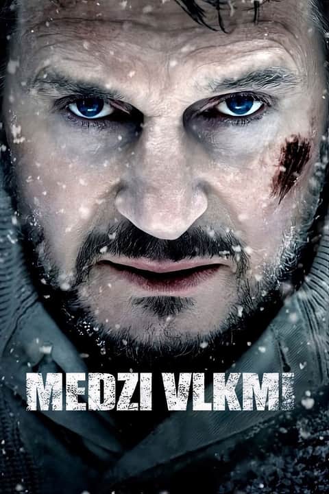 Medzi vlkmi