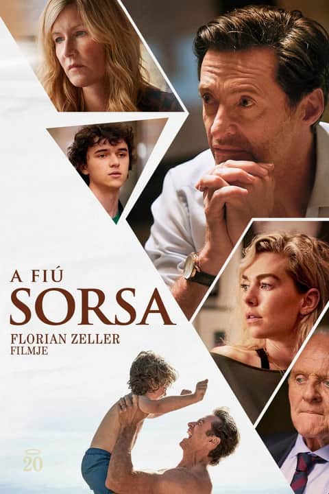 A fiú sorsa