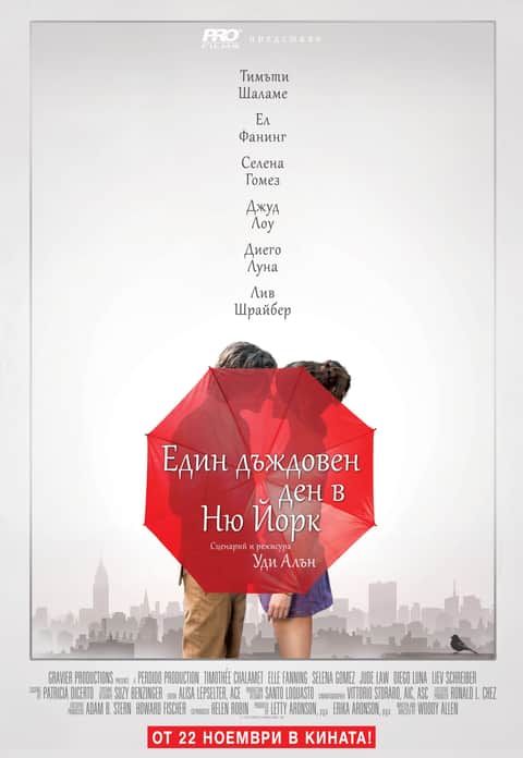 Един дъждовен ден в Ню Йорк