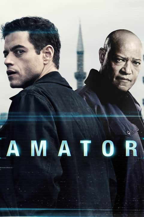 Amator