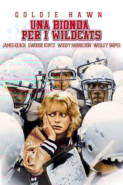 Una bionda per i Wildcats