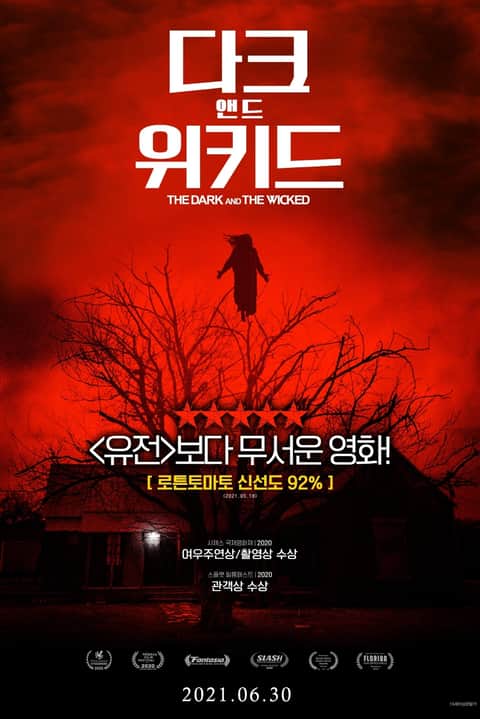 다크 앤드 위키드