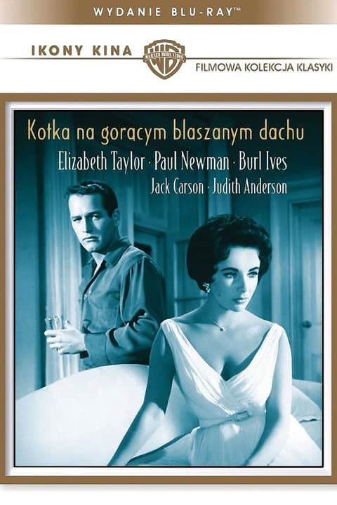 Kotka na gorącym, blaszanym dachu