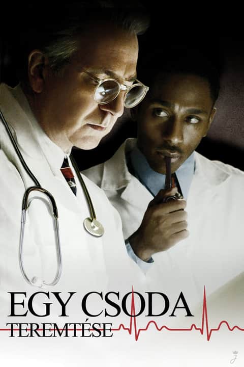 Egy csoda teremtése