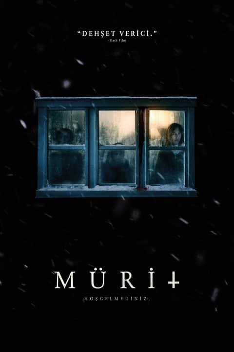 Mürit