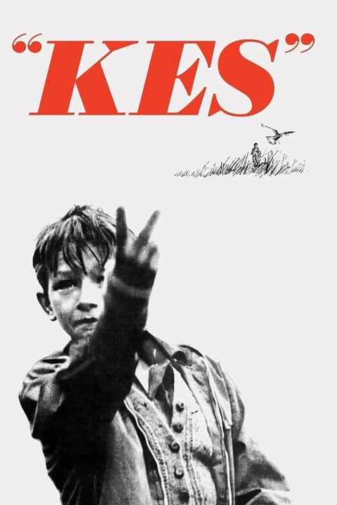 Kes – falken