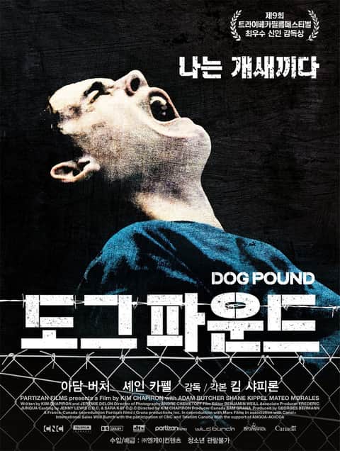 도그 파운드