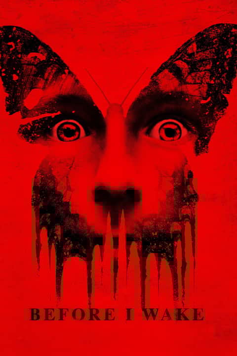 Before I Wake