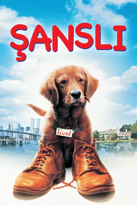 Şanslı