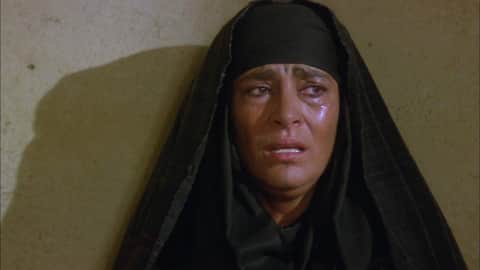 Il leone del deserto