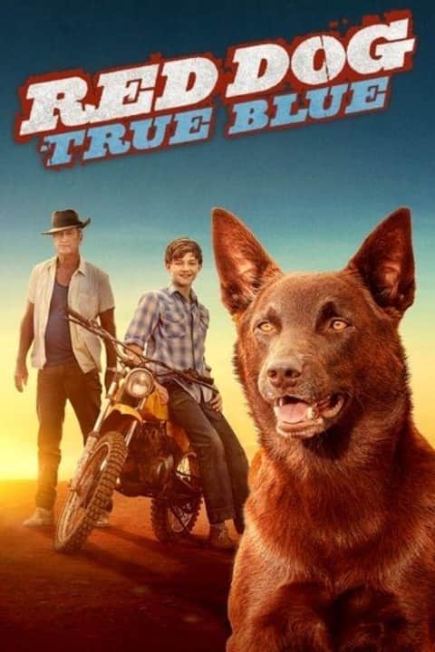 红犬历险记2：蓝犬