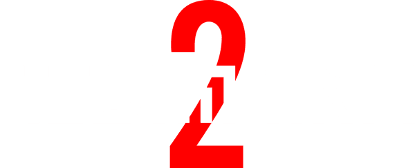 רואה החשבון 2