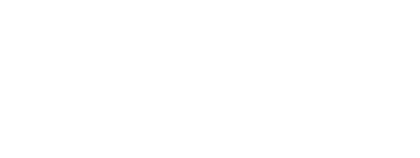 Nemoa etsimässä