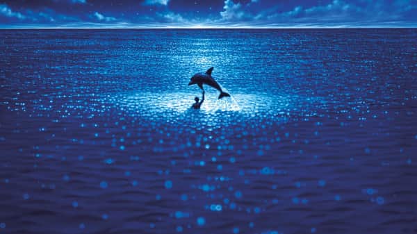 碧海藍天