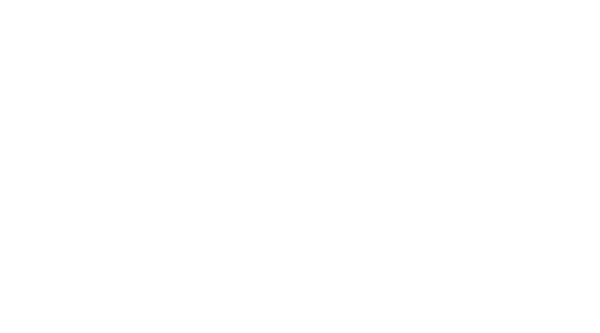로스트
