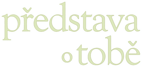 Představa o tobě