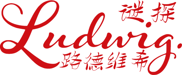 谜探路德维希