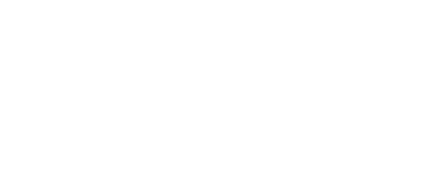 Il robot selvaggio