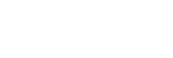 Die Bourne Identität