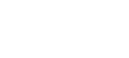 Der wilde Roboter