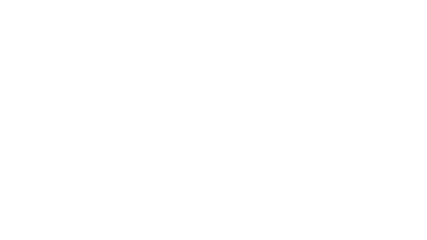 दि फास्ट एंड द फ्यूरियस