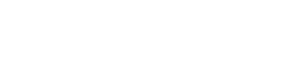 Fast & Furious 9