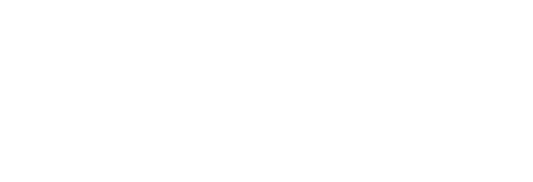 Bodyguard i Żona Zawodowca