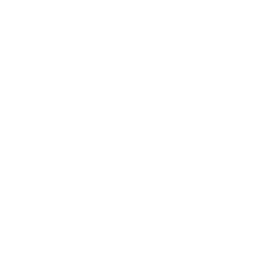 速度与激情 9