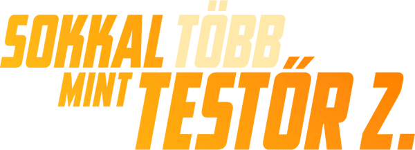 Sokkal több mint testőr 2.