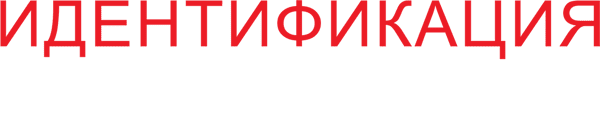 Идентификация Борна