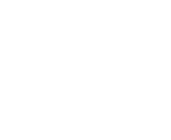 Oyuncak Hikayesi 4