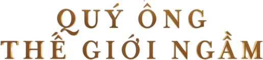Quý Ông Thế Giới Ngầm