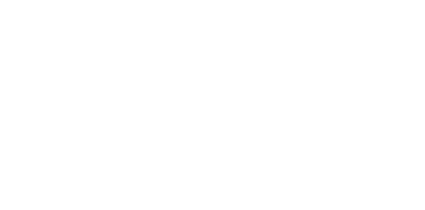 불릿 트레인
