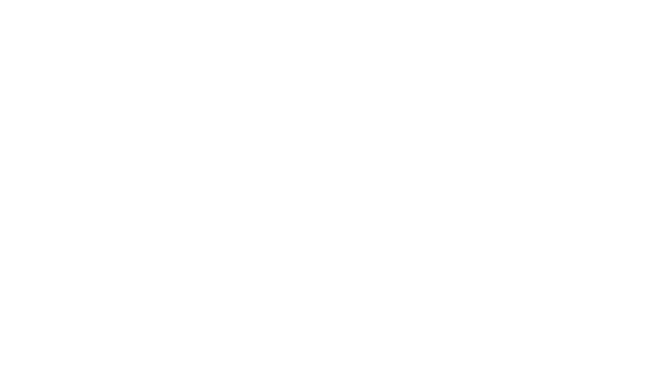 Un vendredi dingue, dingue, dingue