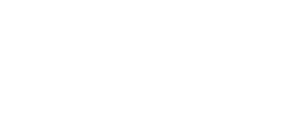 Rápidos y Furiosos: 5in Control