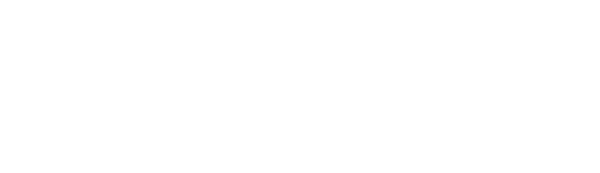 Terminal