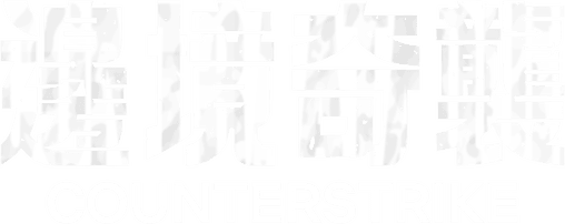边境奇袭