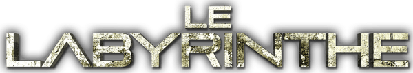 L'épreuve : Le labyrinthe