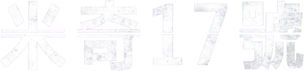 编号17