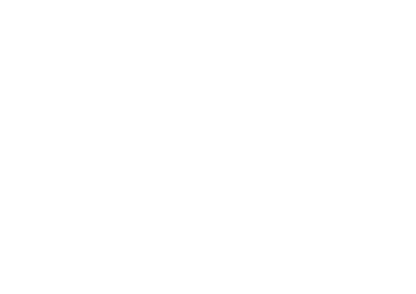 Scarface - arpinaama