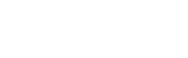 Nume de cod: Spionul de noiembrie